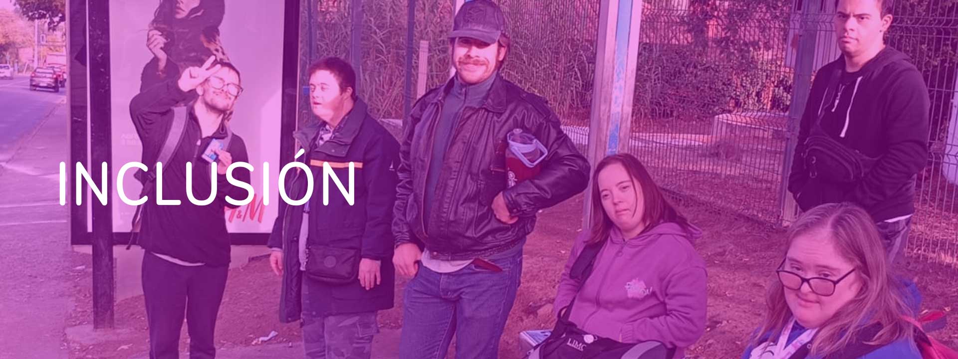 Inclusion